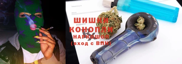 СК Алексин