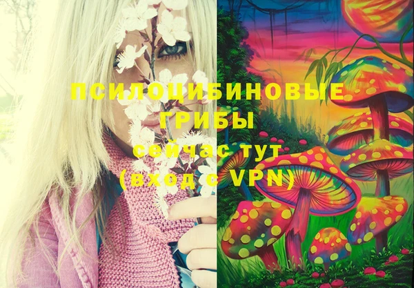 марки lsd Абаза