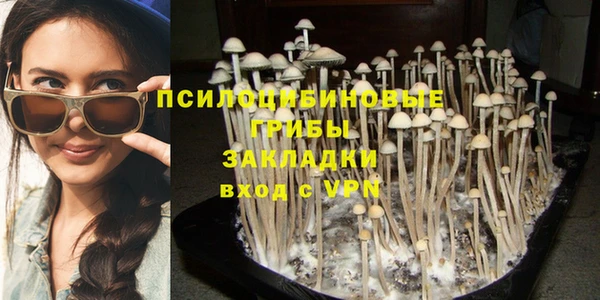 СК Алексин