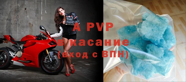 СК Алексин