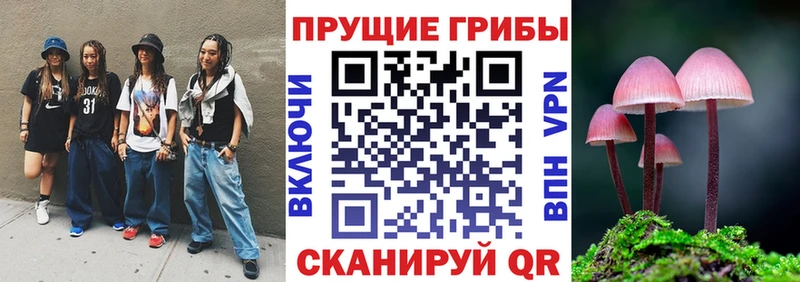 Галлюциногенные грибы Magic Shrooms  закладки  мега ССЫЛКА  Нолинск 