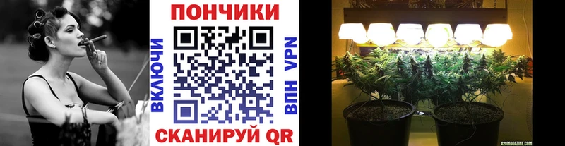 Марихуана Amnesia  где купить наркоту  гидра сайт  Нолинск 